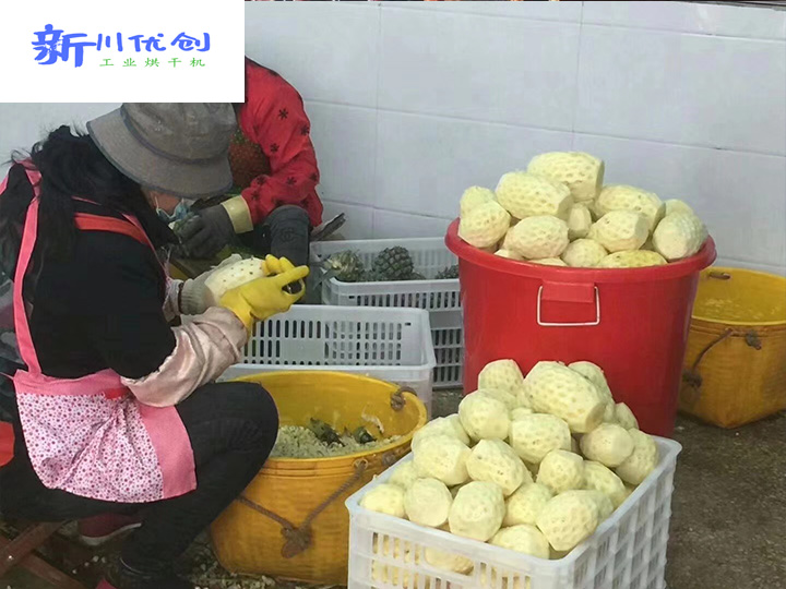 水果新吃法，飯后小零嘴——好吃不怕胖