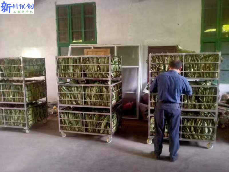 粽葉烘干機.jpg